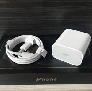 Apple iPhone 急速20W電源セット