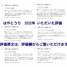 はやとうり 2個 ハヤトウリ 白色 種ウリ 発芽確認済 わけありB級品（小さめ・傷痛み多め）2株 栽培マニュアル付 ホワイト 隼人瓜 野菜_画像8