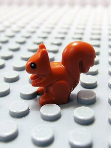 ★LEGO★動物★Squirrel_C(80679pb01)