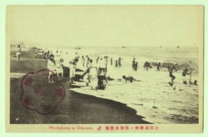 神奈川 小田原 御幸ヶ浜海水浴場