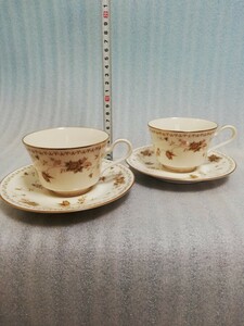 CS5177.【未使用】 Noritake ノリタケ　コンテンポラリー カップ ソーサー 花柄 金彩 洋食器　2客/60