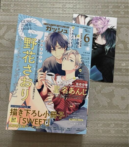 GUSH 2024年6月号　コミコミスタジオ特典　イラストカード付き