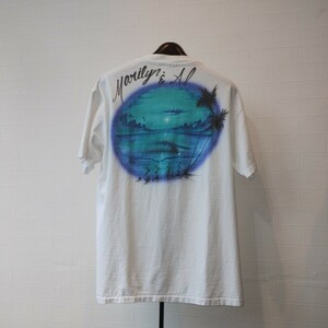 ■ 90s vintage ■ Hanes ヘインズ ■ シングルステッチ アートtシャツ ■ Made in USA アメリカ製 ■ NNN1268