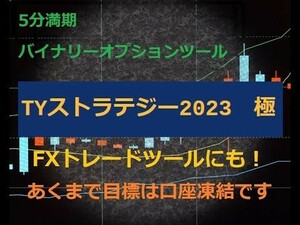 事前マニュアル公開　TYストラテジー2023極ます FXmaster2023