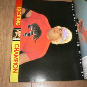 ビッグ レスラー 1982年5月号 5号 フィニッシュホールド大研究 ステッカーポスター付 ホーガン タイガーマスク プロレス 雑誌 プロレスラーの画像3