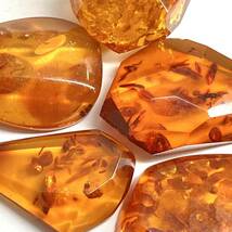 ●天然本琥珀5点おまとめ200ct●m ルース 裸石 宝石 ジュエリー jewelry アンバー こはく amber コハク_画像1