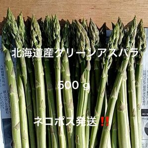 北海道産グリーンアスパラ 500ｇ