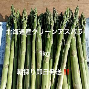 北海道産グリーンアスパラ 1kg