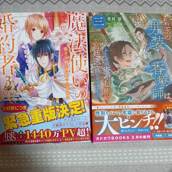 専用　魔法使いの婚約者３　碧玉の男装香療師は、ふしぎな癒やし術で宮廷医官になりました。 巻村螢／著