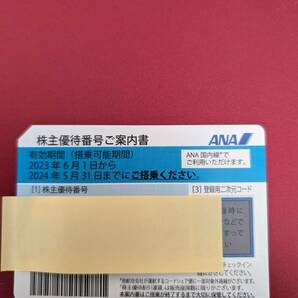 ANA株主優待券 １枚 番号通知対応 期限：2024年5月31日までの画像1