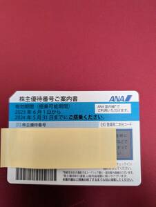 ANA株主優待券　１枚　番号通知対応　期限：2024年5月31日まで