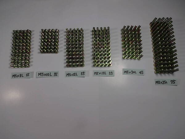 六角穴付ボルト(SCM435/クロメート) M5×8L 55本 M5×10L 35本 M5×12L 55本 M5×15L 55本 M5×20L 45本 M5×25L 75本 計320本【送料込】