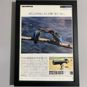 ■オリンパス SYSTEM AUTO広告■貴重なカワセミ求愛給餌ショット/A4額装品/1980年/昭55/当時物/貴重広告写真 G204