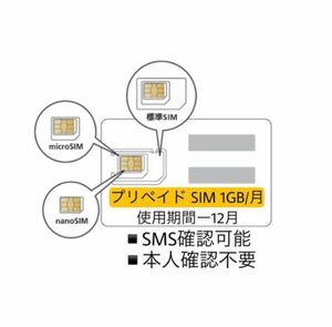 データ通信 1 GB/月　SMS確認可能　SIMカード　プリペイドSIM