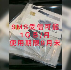 SMS認証可 プリペイドsim 1ＧＢ/月