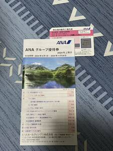 ANA 株主優待優待券　2024年6月1日〜2024年11月30