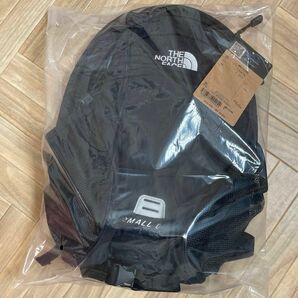 THE NORTH FACE 子供ノースフェイス キッズスモールデイ15L 