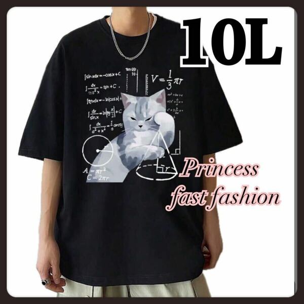 【10L】理数系 猫ちゃん＊半袖Tシャツ＊大きいサイズ＊メンズ＊レディース