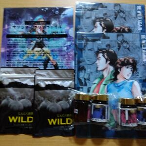 やずや　にんにく卵黄WILD62球×2袋　シティハンターグッズ2セット　リスダムクリアファイル