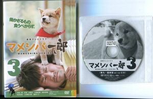 ●A3907 R中古DVD「マメシバ一郎 テレビドラマ全3巻+映画版+メイキングオブマメシバ一郎」計5巻セット ケース無 佐藤二朗　レンタル落ち