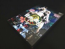 XB834△特撮ヒーロー / DVD / 白獅子仮面 / 封印函 / 限定発売品 / BOX付 / ソフビ人形 / 全3巻セット / 超美品 / 現状渡し_画像4