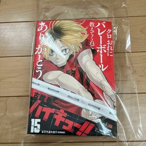 ハイキュー！！　１５ （集英社ジャンプリミックス） 古舘春一