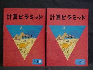 ★ 即発送 ★ 新品 最新版 計算ピラミッド 算数 小３Ⅰと小３Ⅱの２冊セット　解答付 ３年 2024年度～