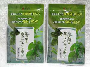 送料無料 桑の葉&茶カテキンの恵み 120粒入 2袋 和漢の森 機能性表示食品 新品未開封.