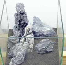 青龍石セット 30キューブ水槽 サイズ13-26cm アクアリウム　石_画像4