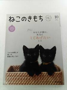 ねこのきもち 2020年 10月号 vol.185 付録なし あなたが猫に、本当にしてあげたいこと 「おうち時間」が長い今、愛猫と何してる？