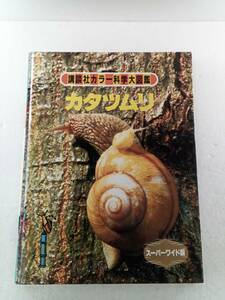 カタツムリ　講談社カラー科学大図鑑　スーパーワイド版　240530