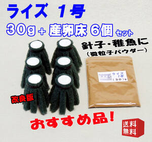 ライズ１号（微粒子パウダー） ３０g+産卵床６個セット◇めだか の 餌 エサ／メダカ の えさ／たまごトリーナ／タマゴトリーナ②