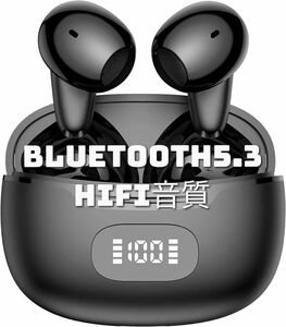 2024年新発売 ワイヤレスイヤホン Bluetooth5.3 技適認証済み