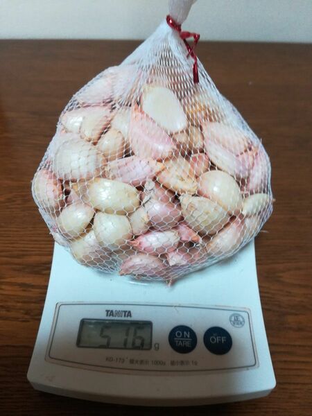 鹿児島産ニンニク500g