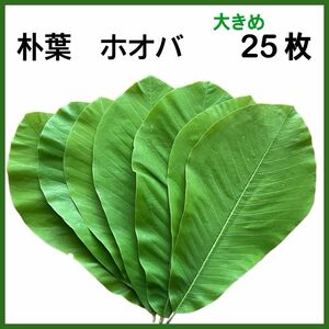 天然 無農薬 朴葉 生朴葉 青朴葉 ホオバ ホオの葉 大きめ 25枚