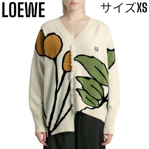 定価約13万円 ロエベ LOEWE ハーバリウム アナグラム セーター ユニセックス アシンメトリー ロング チュニック ニットソー Vネック