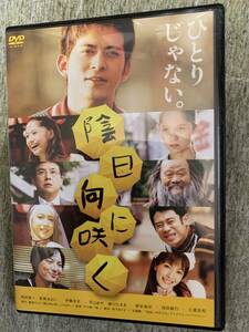 DVD 陰日向に咲く