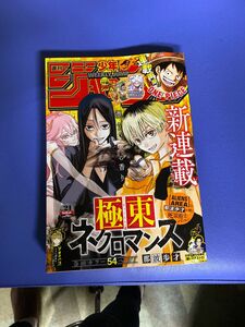 週刊 少年ジャンプ 2024年 5/6号 [雑誌]