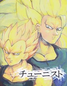  Dragon Ball #morugen low to[chu-ni -тактный ]kakabejikaka Rod × Vegeta 