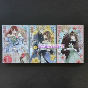 「きみを愛する気はない」と言った次期公爵様がなぜか溺愛してきます 全3巻 全巻セット 三沢ケイ/水埜なつ