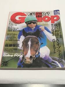 サンケイスポーツ　週刊ギャロップ　Gallop　2004年11月28日号　ジャパンカップ特集　ジャパンC　ゼンノロブロイ ハーツクライ