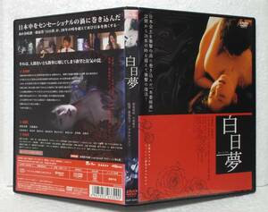 DVD 白日夢(西条美咲,大坂俊介,鳥肌実,菅田俊,小島可奈子)レンタル落ち