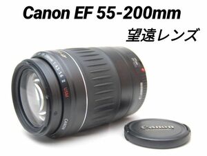 Canon EF 55-200mm Ⅱ USM♪望遠レンズ♪キャノン