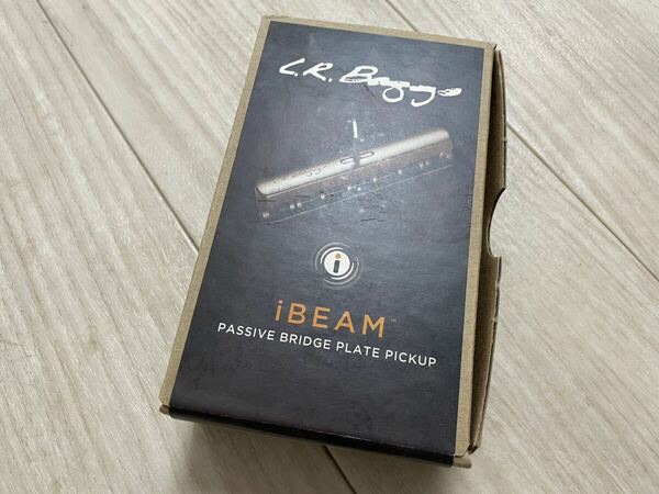 【未使用品】L.R.Baggs iBeam Passive for Acoustic