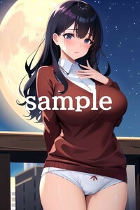 No.A-1087【全て1点もの】A4サイズ 美女ポスター 高品質光沢紙 イラスト アート コスプレ セクシー 水着 制服 下着 美女 巨乳 美乳 美尻