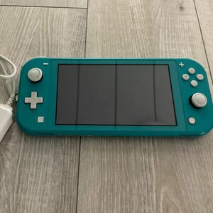 switchライト　極美品　充電器付き