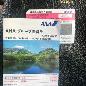 ANA 株主優待券