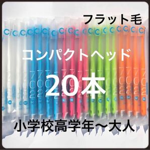 Ci702 コンパクトヘッド（フラット毛）20本　歯科医院専売歯ブラシ