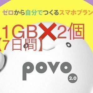 povo2.0 ギガ活 プロモコード 1GB2回分 入力期限2024年5月20日の画像1