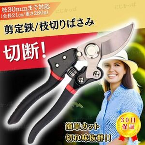  branch cut . branch cut . tongs branch cut basami pruning . pruning scissors pruning scissors gardening tool black 